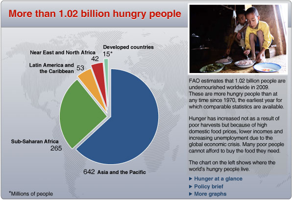 FAO- Hungerstatistik 2009 FAO- Hungerstatistik 2009
