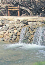 israel5